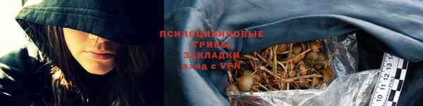 гидропоника Медвежьегорск