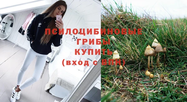 гидропоника Медвежьегорск