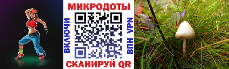 хочу наркоту  Мамадыш  Галлюциногенные грибы Magic Shrooms 